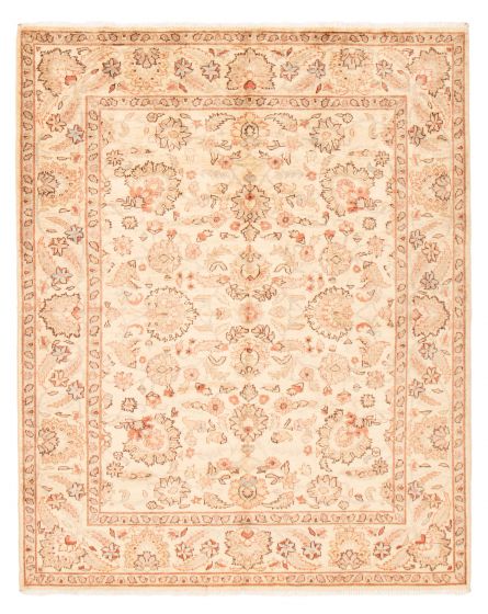 Bordered  Traditional Ivory Area rug 6x9 Afghan Hand-knotted 369370