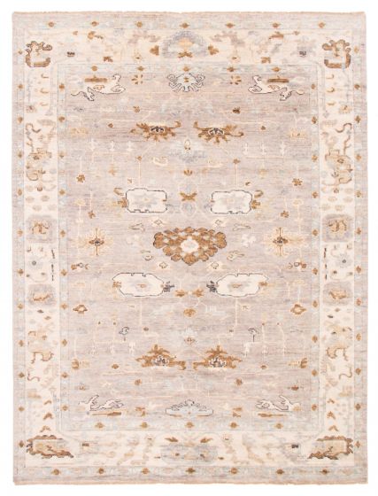 Bordered  Traditional Grey Area rug 9x12 Indian Hand-knotted 377661