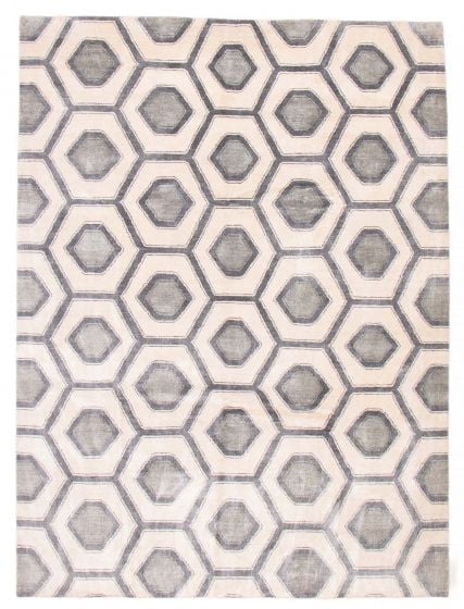 Transitional Ivory Area rug 9x12 Indian Hand-knotted 387606