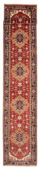 Bordered  Traditional Brown Runner rug 20-ft-runner Indian Hand-knotted 386717