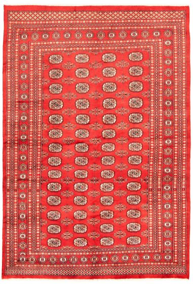 Bordered  Tribal Red Area rug 6x9 Pakistani Hand-knotted 328619