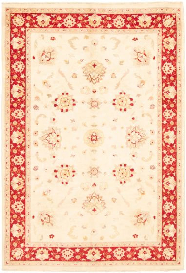 Bordered  Traditional Ivory Area rug 6x9 Afghan Hand-knotted 336158