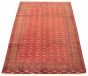 Bordered  Tribal Red Area rug 6x9 Russia Hand-knotted 318956