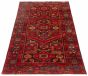 Persian Style 4'3" x 8'4" Hand-knotted Wool Rug 