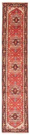 Bordered  Traditional Brown Runner rug 12-ft-runner Indian Hand-knotted 377772