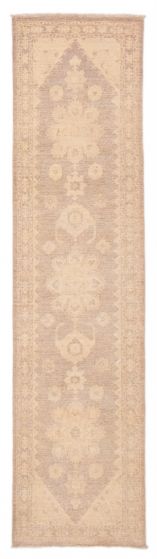 Bordered  Transitional Brown Runner rug 10-ft-runner Pakistani Hand-knotted 387086