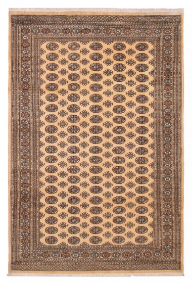 Traditional  Transitional Ivory Area rug 6x9 Pakistani Hand-knotted 390053