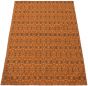 Casual  Transitional Orange Area rug 4x6 Indian Handmade 306035