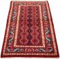 Persian Style 3'7" x 6'9" Hand-knotted Wool Rug 
