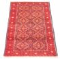 Afghan Royal Baluch 2'10" x 5'3" Hand-knotted Wool Rug 