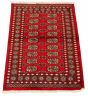 Bordered  Tribal  Area rug 3x5 Pakistani Hand-knotted 328456