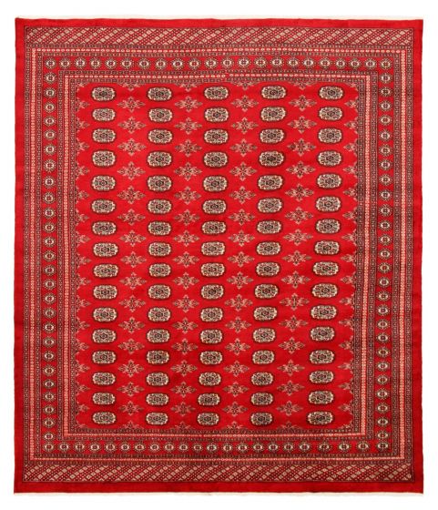 Bordered  Traditional Red Area rug 6x9 Pakistani Hand-knotted 363279