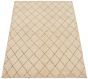Casual  Transitional Ivory Area rug 4x6 Indian Hand-knotted 299317
