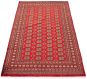 Bordered  Tribal Red Area rug 5x8 Pakistani Hand-knotted 305662