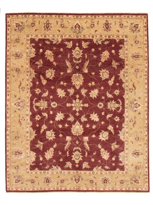 Indian Chobi Twisted 8'1" x 10'0" Hand-knotted Wool Rug 