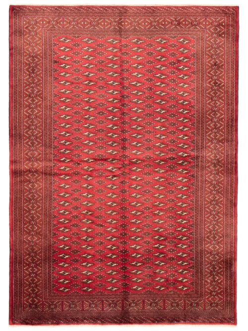Turkmenistan Turkman 6'9" x 9'7" Hand-knotted Wool Rug 