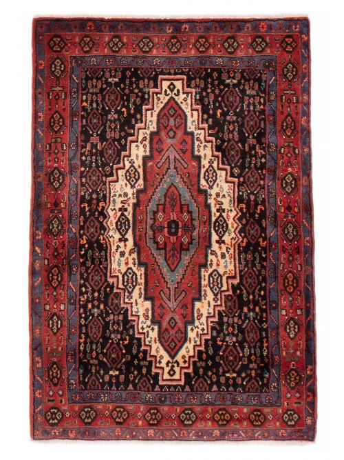 Persian Senneh 3'7" x 5'2" Hand-knotted Wool Rug 