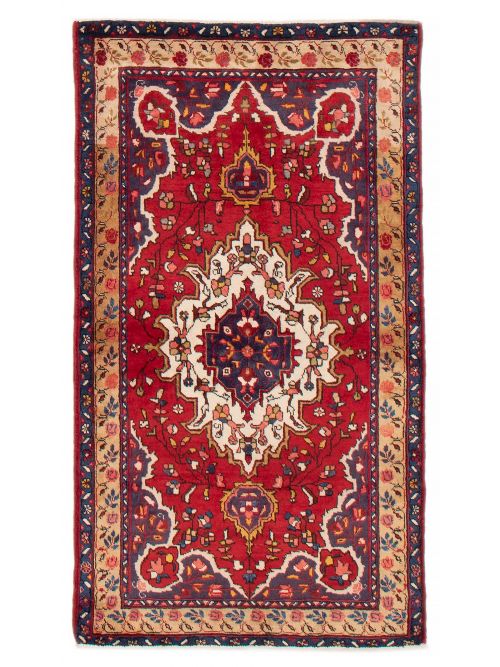 Persian Style 3'5" x 6'1" Hand-knotted Wool Rug 