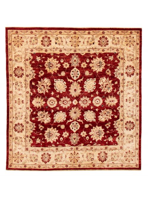 Afghan Chobi Finest 6'7" x 6'7" Hand-knotted Wool Rug 