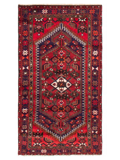 Persian Style 3'3" x 5'10" Hand-knotted Wool Rug 