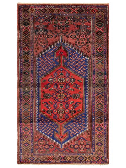 Persian Style 3'9" x 6'6" Hand-knotted Wool Rug 