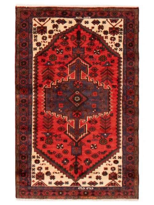 Persian Style 3'2" x 4'10" Hand-knotted Wool Rug 