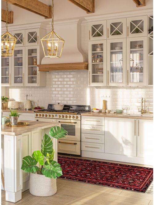 Persian Style 3'3" x 16'8" Hand-knotted Wool Runner Rug 