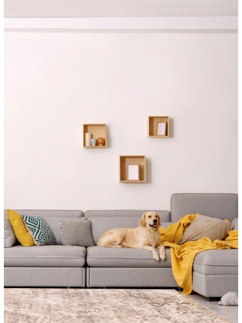 Indian Legacy 6'7" x 9'10" Hand-knotted Silk Rug 