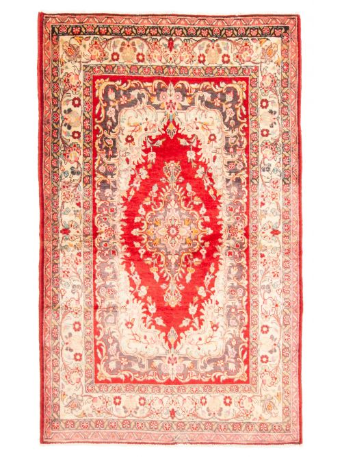 Persian Style 4'3" x 7'3" Hand-knotted Wool Rug 