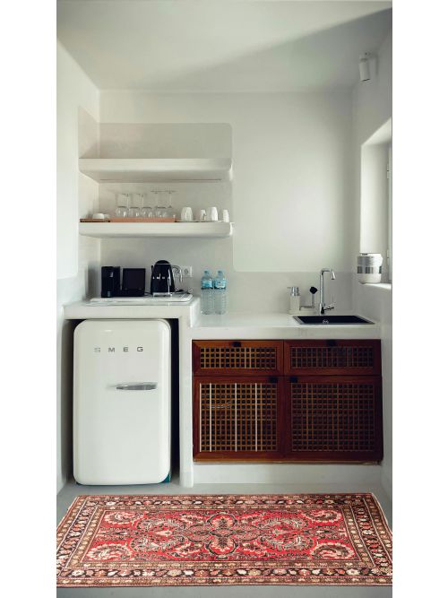 Persian Style 3'5" x 5'6" Hand-knotted Wool Rug 