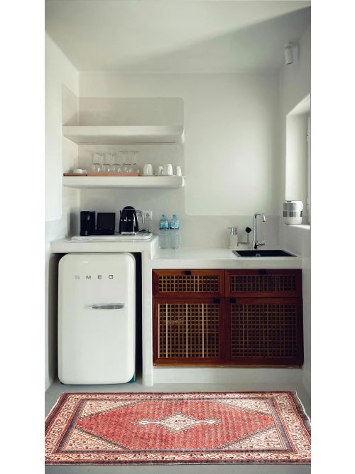 Persian Style 3'5" x 5'4" Hand-knotted Wool Rug 