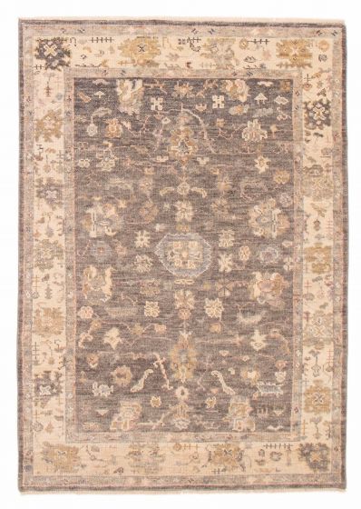 Bordered  Transitional Grey Area rug 5x8 Indian Hand-knotted 387186