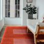 Transitional Orange Area rug 4x6 Pakistani Hand-knotted 379801