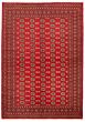 Bordered  Tribal Red Area rug 6x9 Pakistani Hand-knotted 329149