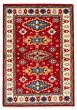 Bordered  Traditional Red Area rug 5x8 Indian Hand-knotted 346282