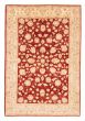 Bordered  Traditional Red Area rug 5x8 Afghan Hand-knotted 379115
