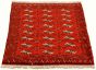 Turkmenistan Turkman 3'7" x 4'11" Hand-knotted Wool Rug 