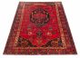 Persian Style 5'5" x 9'3" Hand-knotted Wool Rug 