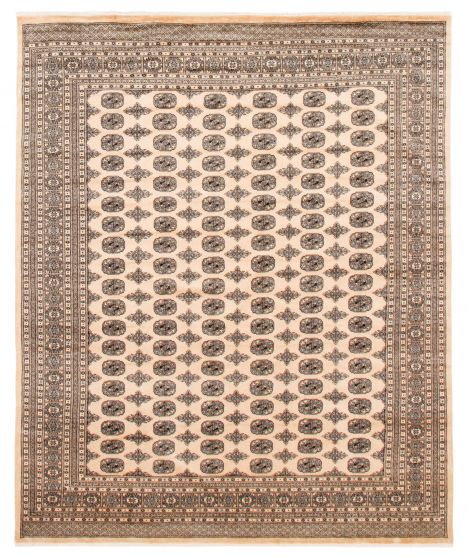 Bordered  Traditional Ivory Area rug 6x9 Pakistani Hand-knotted 363305