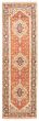Bordered  Traditional Brown Runner rug 10-ft-runner Indian Hand-knotted 344722