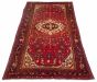 Persian Style 5'7" x 13'9" Hand-knotted Wool Rug 