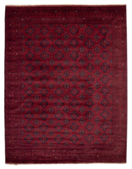 Bordered  Traditional Red Area rug 9x12 Afghan Hand-knotted 377218