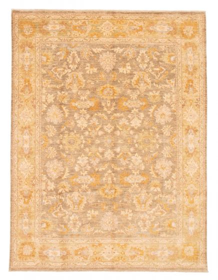 Bordered  Traditional Ivory Area rug 6x9 Pakistani Hand-knotted 379311