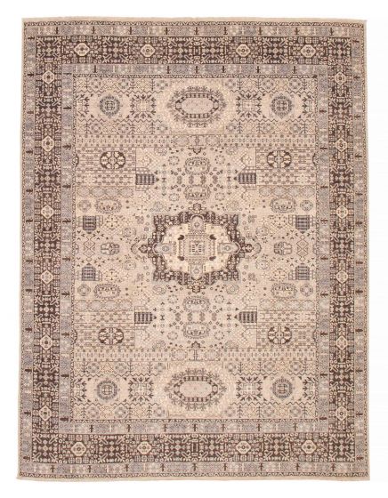 Bordered  Traditional Grey Area rug 9x12 Pakistani Hand-knotted 381662