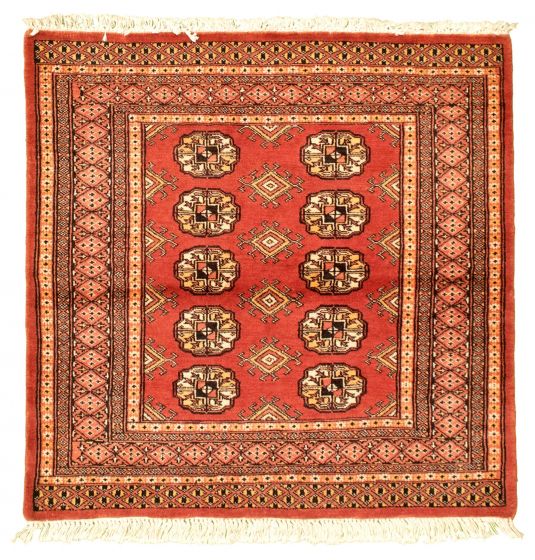 Bordered  Tribal Brown Area rug Square Pakistani Hand-knotted 327739