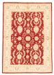 Bordered  Traditional Red Area rug 5x8 Afghan Hand-knotted 346497