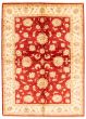 Bordered  Traditional Red Area rug 5x8 Afghan Hand-knotted 346655