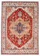Bordered  Traditional Brown Area rug 9x12 Indian Hand-knotted 387628