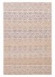 Braided  Transitional Ivory Area rug 5x8 Indian Braid weave 390585