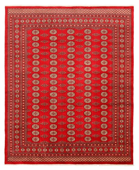 Bordered  Traditional Red Area rug 6x9 Pakistani Hand-knotted 363265